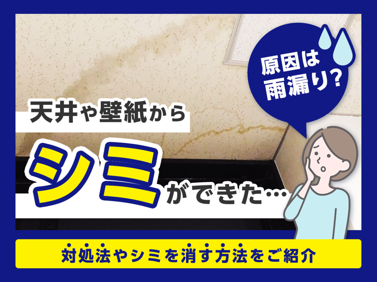 天井や壁紙からシミができた…原因は雨漏り？対処法やシミを消す方法をご紹介