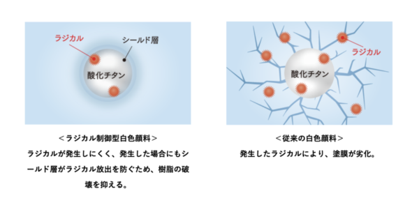 リファインSi_ラジカル抑制