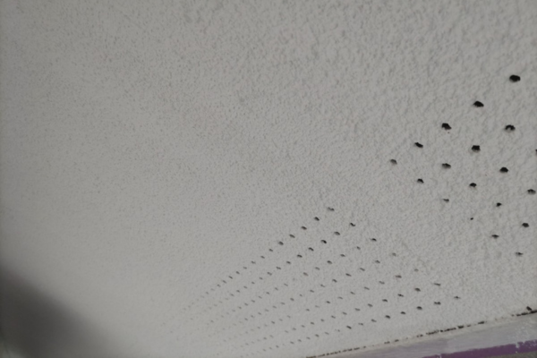 木更津市・Y様｜屋根塗装・外壁塗装⑨_軒天塗装後